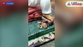 Ganesh Chaturthi: Fans welcome Allu Arjun aka Pushpa Raj inspired Ganapati! Ganesh Chaturthi: Fans welcome Allu Arjun aka Pushpa Raj inspired Ganapati!