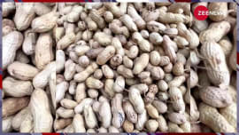 sunil grover aka dr gulati famous comedian selling peanuts on roadside after leaving kapil sharma show sunil grover aka dr gulati famous comedian selling peanuts on roadside after leaving kapil sharma show
