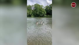 Actor Shilpa Shetty Shared videoWith Her SonLondon On A Trip With Her Family Actor Shilpa Shetty Shared videoWith Her SonLondon On A Trip With Her Family