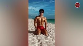 bollywood actor tiger shroff seen shirtless in recent reel watch handsome stars video bollywood actor tiger shroff seen shirtless in recent reel watch handsome stars video