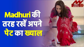 Madhuri की तरह करें सर्दियों में अपने पेट्स की देखभाल |Madhuri Dixit|Madhuri Dixit Animal Lover| Madhuri की तरह करें सर्दियों में अपने पेट्स की देखभाल |Madhuri Dixit|Madhuri Dixit Animal Lover|