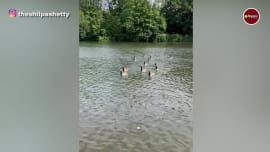 shilpa shetty shared a video of how she spent her sunday with family shilpa shetty shared a video of how she spent her sunday with family