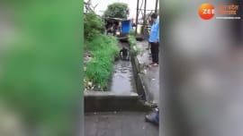 Sharabi ka video shows man dives in the drain Nala like a swimming pool, high voltage drama like Amitabh Bachchan ATUP Sharabi ka video shows man dives in the drain Nala like a swimming pool, high voltage drama like Amitabh Bachchan ATUP
