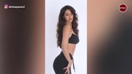 trending viral video of disha patani giving bold poses in stylish black dress trending viral video of disha patani giving bold poses in stylish black dress